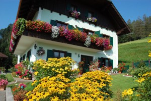 Gmunden sucht den schönsten Blumenschmuck | Foto: gemeinde