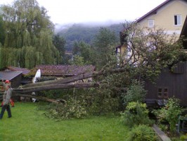 Gmunden: Baum stürzte auf Garage