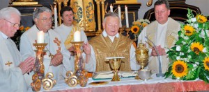 Ein Pfarrfest zum goldenen Priesterjubiläum in Altmünster