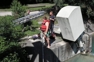 Seewalchen: Feuerwehr als Enten-Retter