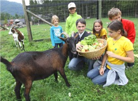 2. Sommerfest im Wildpark Grünau - ein Fest für die ganze Familie
