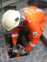Bad Goisern: Feuerwehr rettet Katze aus Kanal