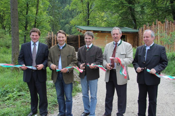 Wildpark Grünau: Luchse ziehen in neues Großgehege um - Auch die Wildkatzen bekommen ein größeres Zuhause