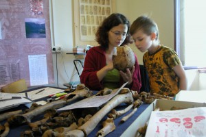 Hallstatt: "Archäologie am Berg 2012" - Geschichte einer Landschaft | Foto: NHM Wien