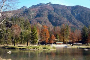 2. Herbstschoad im Cumberland Wildpark Grünau