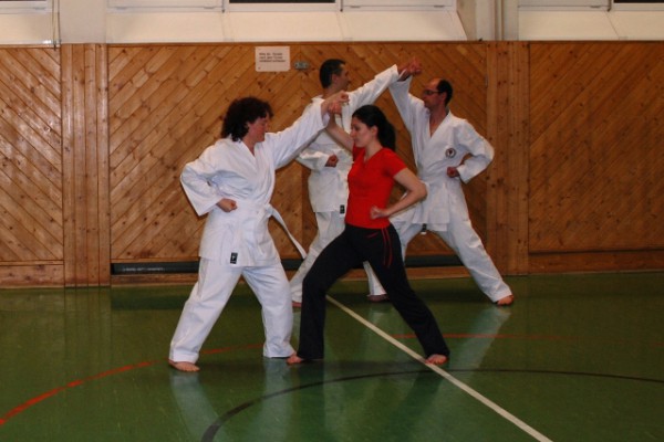 Neuer Karate-Anfängerkurs startet in Gmunden