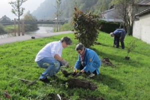 Ebenseer Traunpromenade neugestaltet