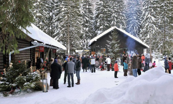 Advent, Advent im Wildpark Grünau