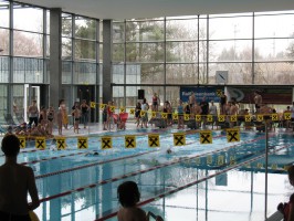  Bezirksmeisterschaften im Schwimmen