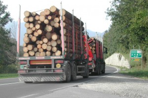 Verein Lebensraum Salzkammergut fordert: Holztransporte auf die Bahn | Foto: Verein