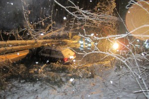 Vöcklabruck: Bäume stürzten auf B143 auf vorbeifahrendes Auto