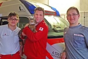Katze "Schnucki" versteckte sich bei Rettungseinsatz im Rot-Kreuz-Fahrzeug