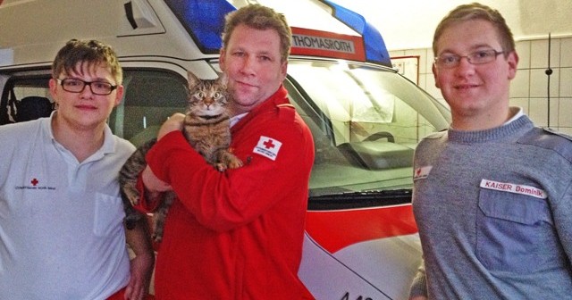 Katze "Schnucki" versteckte sich bei Rettungseinsatz im Rot-Kreuz-Fahrzeug