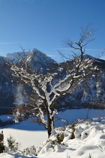 Hoch überm Offensee Sonnenstunden genießen