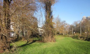 Ein Garten für alle in Ebensee - gemeinsam statt einsam