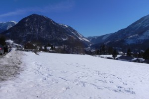 Die Bunten Perlen bekommen ein neues Zuhause