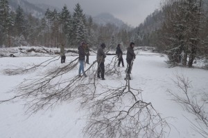 Generationenprojekt Weidenbau in Bad Ischl