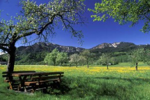 Naturpark Attersee-Traunsee bekommt 45.000 Euro Beihilfe | Foto: TTG