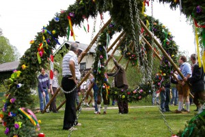 Maibaum aufstellen beim Gasthof Grüner Baum in St. Georgen im Attergau