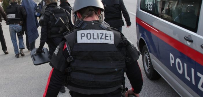 Cobra-Einsatz im Salzkammergut - Pensionist festgenommen