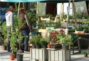 Altmünster: Hinein in den Gartenfrühling mit dem Pflanzen(tausch)-Markt
