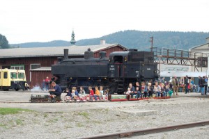 Volldampf bei den Pfingstdampftagen in Ampflwang