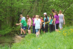 "Brainrace" - schnell alleine reichte nicht ...