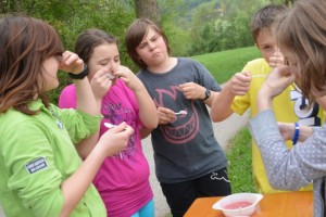 "Brainrace" - schnell alleine reichte nicht ...