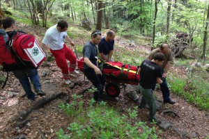 Gmunden: folgenschwerer Ausrutscher am Wanderweg Kaltenbachwildnis