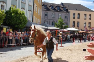 109. Pferdemarkt in Vöcklabruck