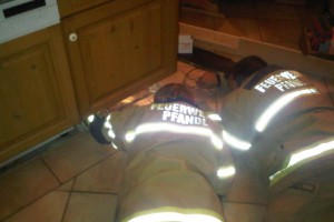 Äskulapnatter in Geschirrspüler entdeckt