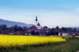 Haltestelle "Schörfling Marktplatz" wieder häufiger bedient