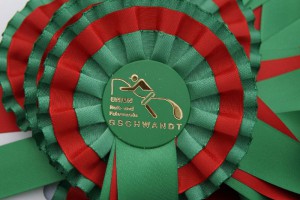 Springmeisterschaften in Gschwandt