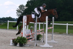 Springmeisterschaften in Gschwandt