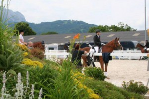 Springmeisterschaften in Gschwandt