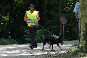 Gewaltverbrechen an Gmundnerin