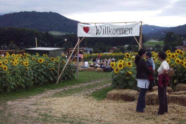 11. Sonnenblumenfest in Ohlsdorf