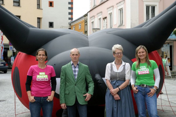 Grüne Vöcklabruck für Beendigung des "Rot-Schwarzen Stillstand"