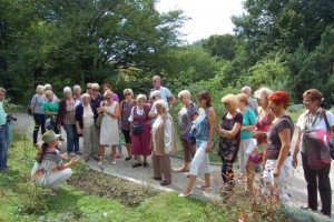 50 Jahre Blumenschmuckaktion in Vöcklabruck