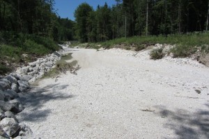 Jahrhunderthochwasser legt neuen Nebenarm "Engleithen" in der Kaltenbachau trocken