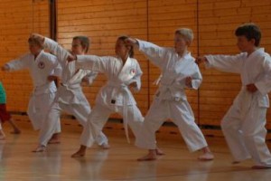 Karate Anfänger- und Kinderkurs in Gmunden
