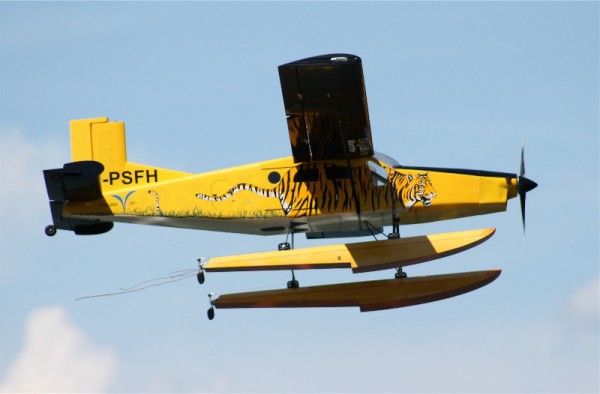 Wasserfliegen auf der Bräuwiese