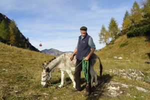 Esel-Besuch auf der Katrin | Foto: KatrinSeilbahnGmbH