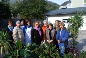 Pflanzenflohmarkt Ebensee ein großartiger Erfolg