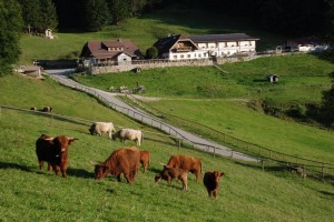 Startschuss zum Winterwander(s)pass - Wandertag am Nationalfeiertag