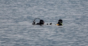 Tauchunfall am Attersee
