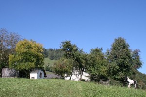 Verein "Bauerngarten" bietet Mietgärten am Bauernhof