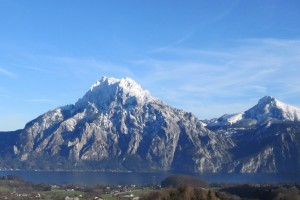 Verein "Bauerngarten" bietet Mietgärten am Bauernhof