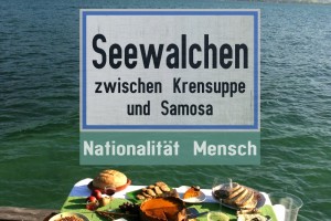 Integrationsprojekt Sozialausschuss der Marktgemeinde Seewalchen am Attersee
