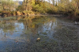 Bad Ischl: Junihochwasser bedroht Kaltenbachteich